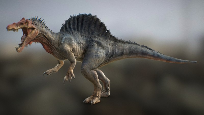 Spinosaurus maroccanus