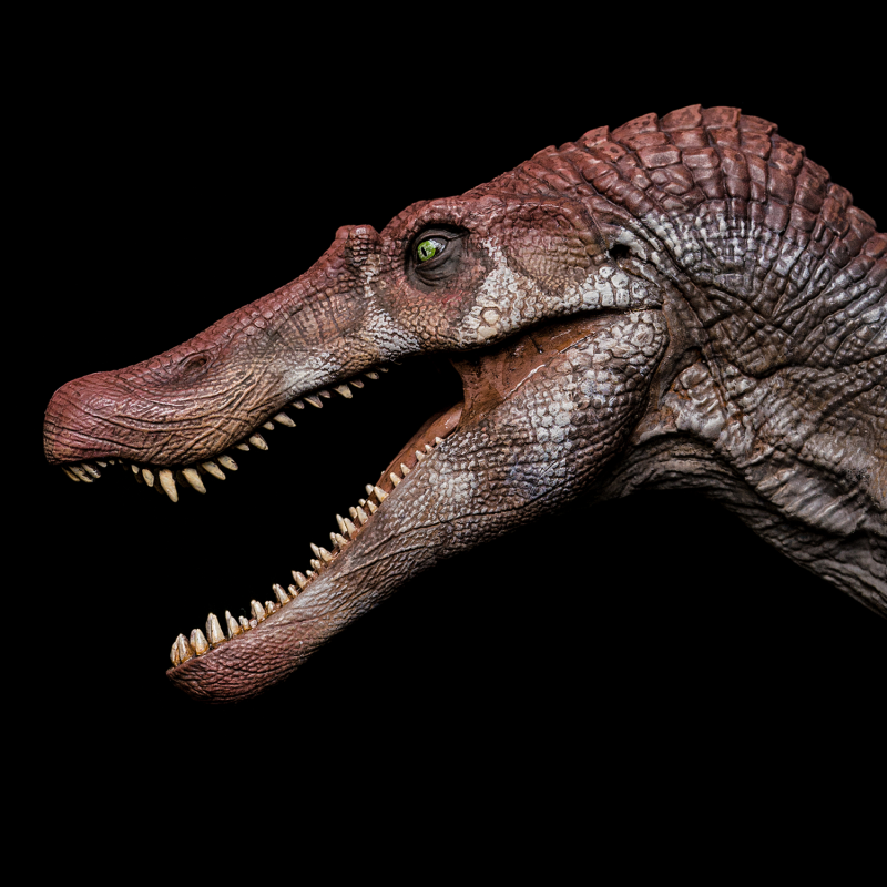 Spinosaurus maroccanus