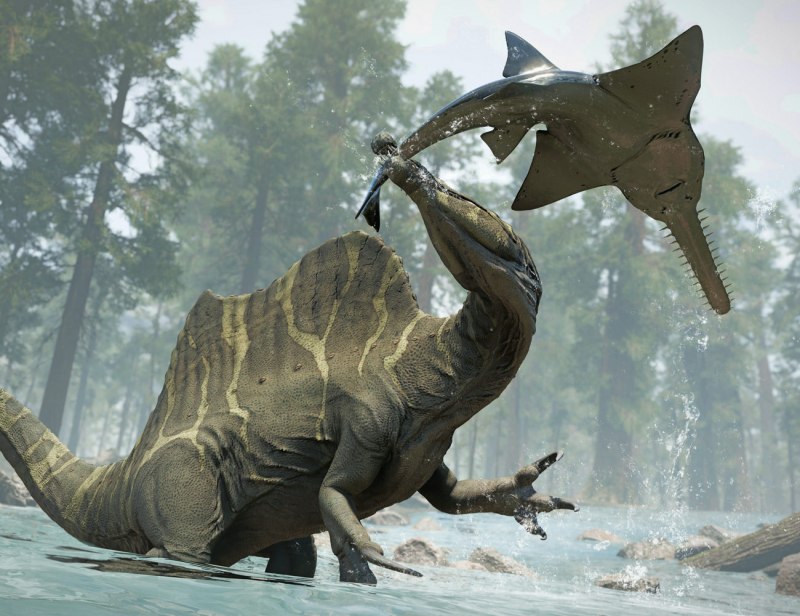 Spinosaurus maroccanus