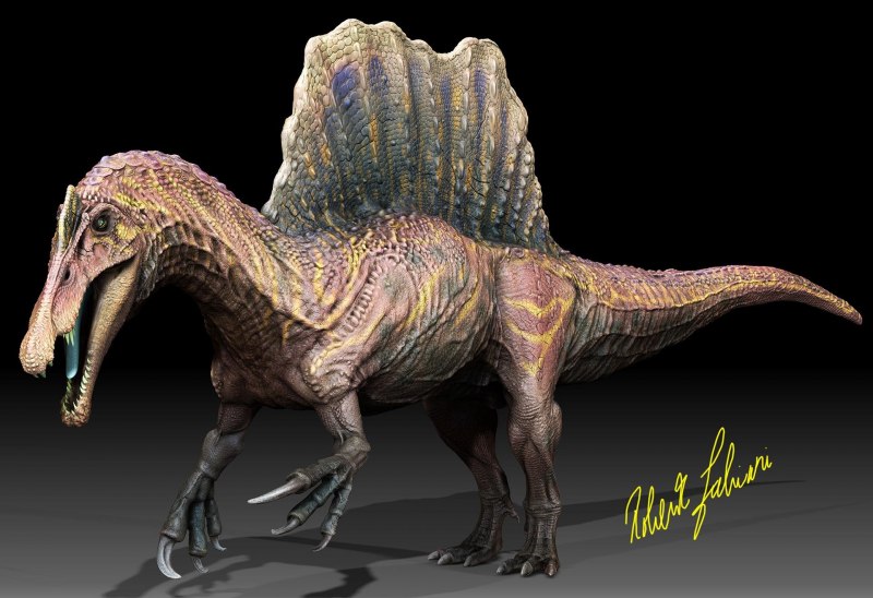 Spinosaurus maroccanus