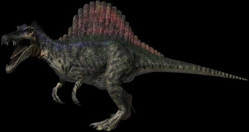 Spinosaurus maroccanus