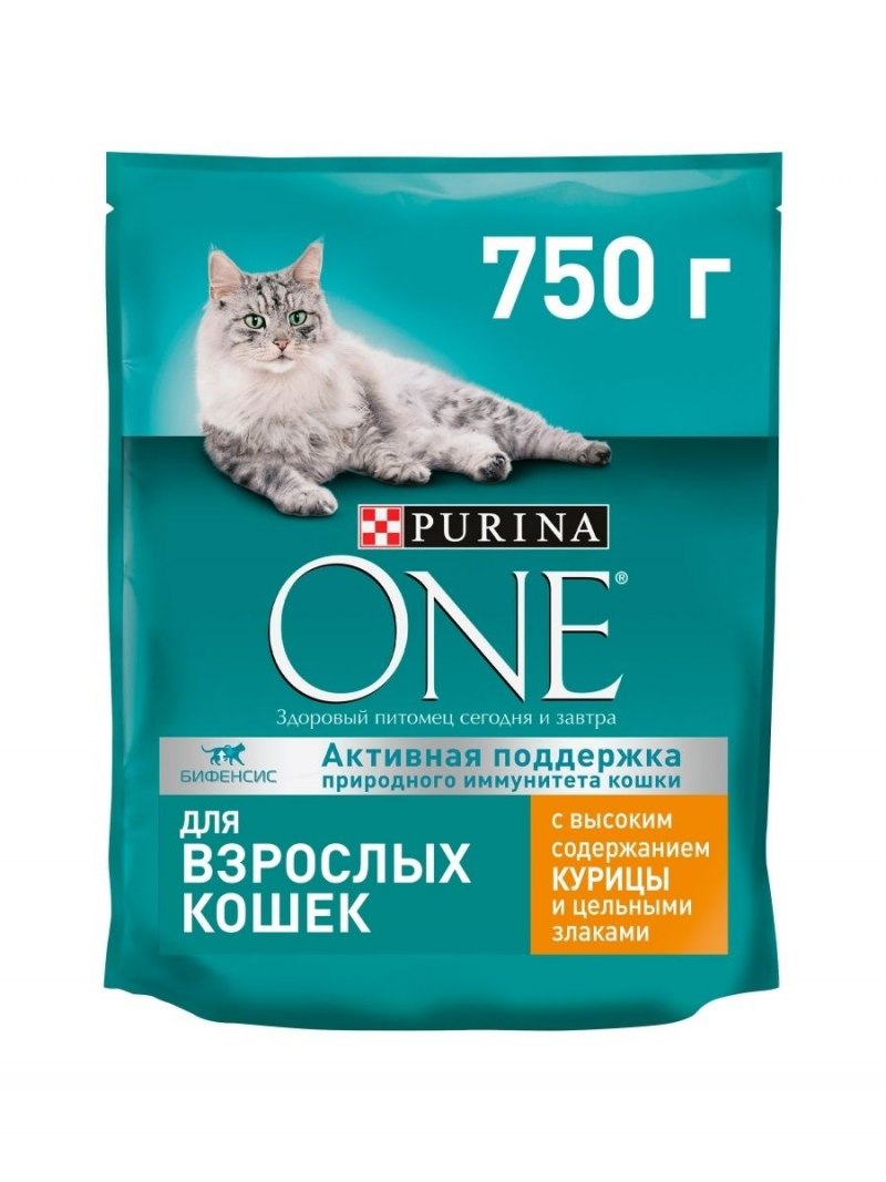 Гуаякильская белка.