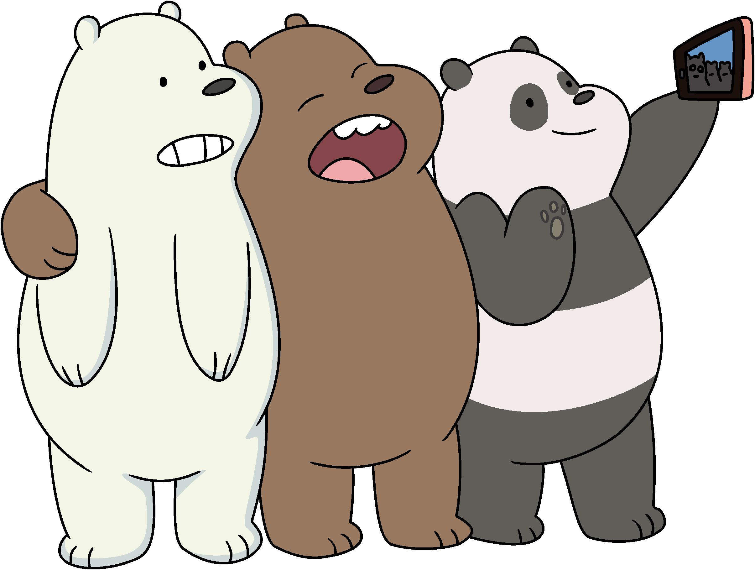 Белый бурый и панда. Картун нетворк вся правда о медведях. Три медведя Картун нетворк. Три медведя белый Панда и Гризли.