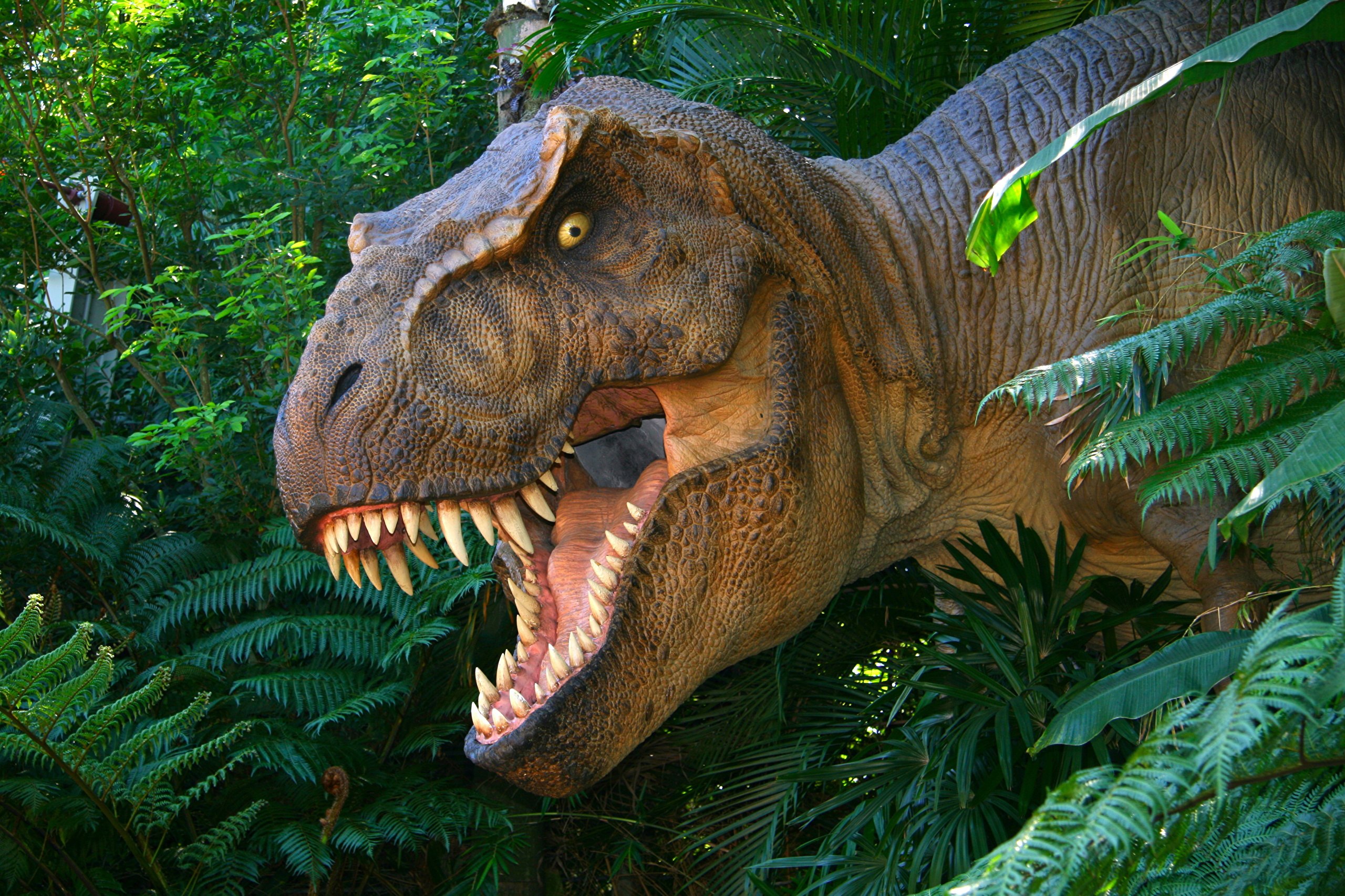 Рев динозавра. Тираннозавр парк Юрского периода. Королевский Тираннозавр. Тираннозавр рекс 2022. Тираннозавр Фредди.