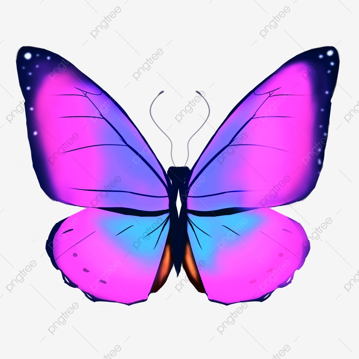 Розово голубая бабочка. Розовые бабочки. Сиреневые бабочки. Бабочки розово голубые. Бабочки розово сиреневые.