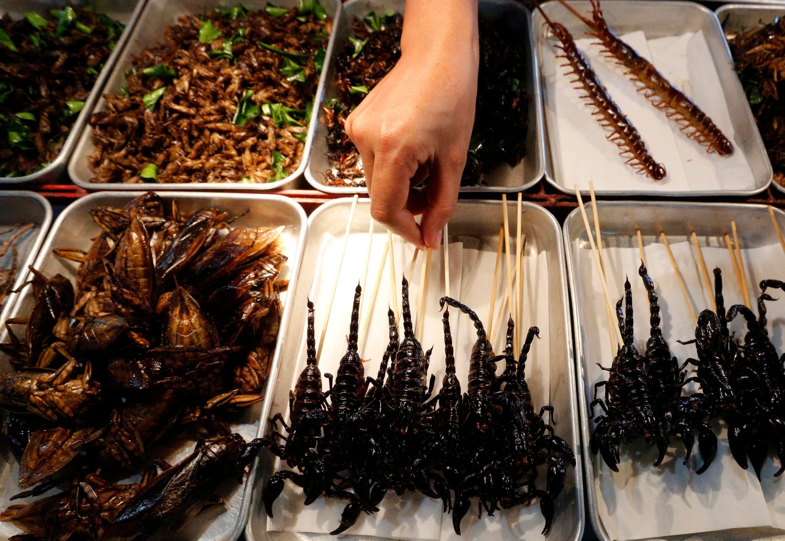 Где едят червей. Тараканы в Тайланде. Блюдо тараканы Тайланд. Жареные жуки в Тайланде. Жареные насекомые в Тайланде.