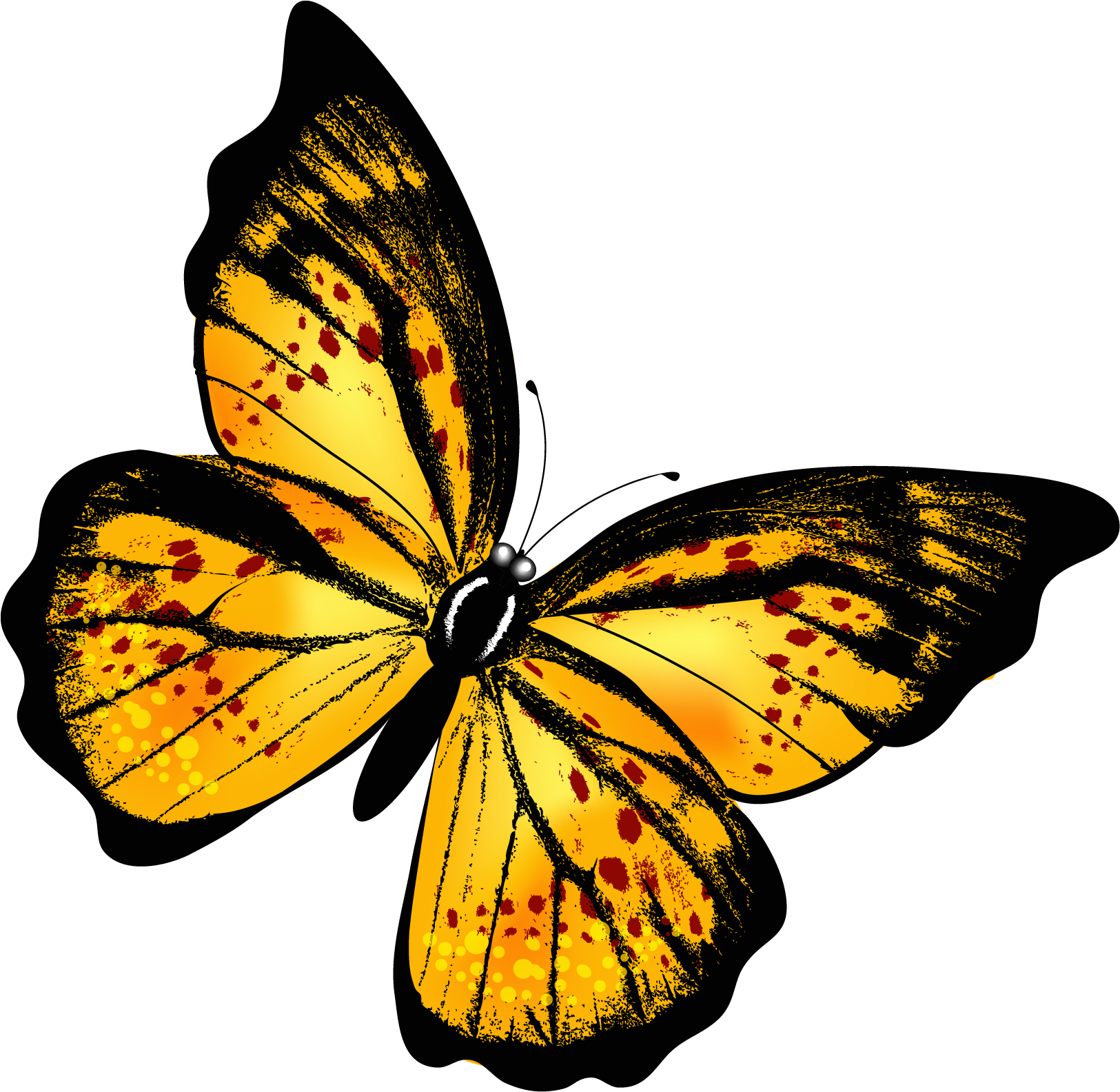Бабочка скопировать. Жёлтая бабочка. Бабочка рисунок. Красивые бабочки. Яркие бабочки.