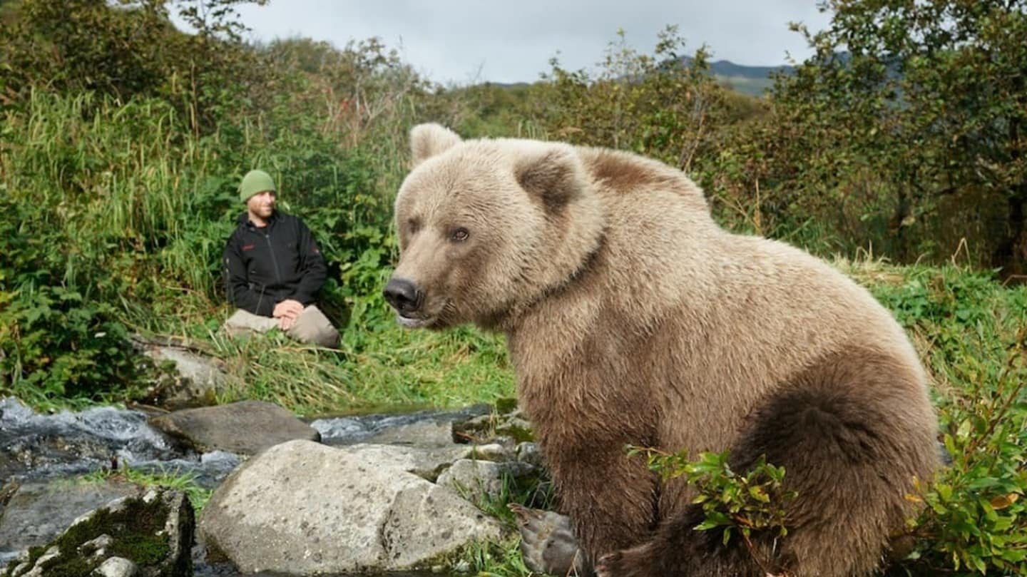 Какие медведи крупнее. Бурый медведь Кадьяк. Медведь Кадьяк самый большой в мире. Самый большой бурый медведь в мире.