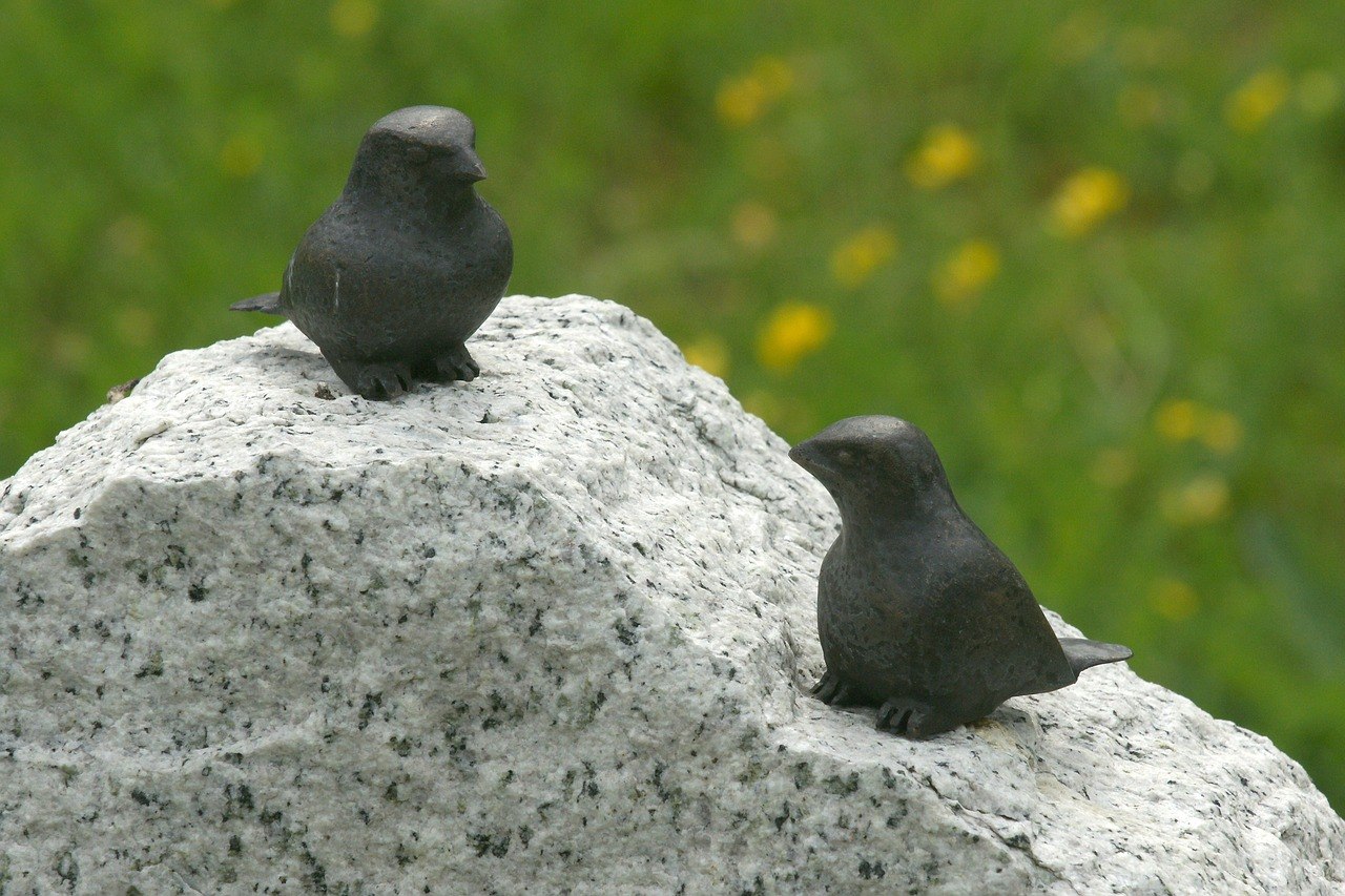 Stone birds. Каменная птица. Галька птица. Птицы из камня. Птичий камень.