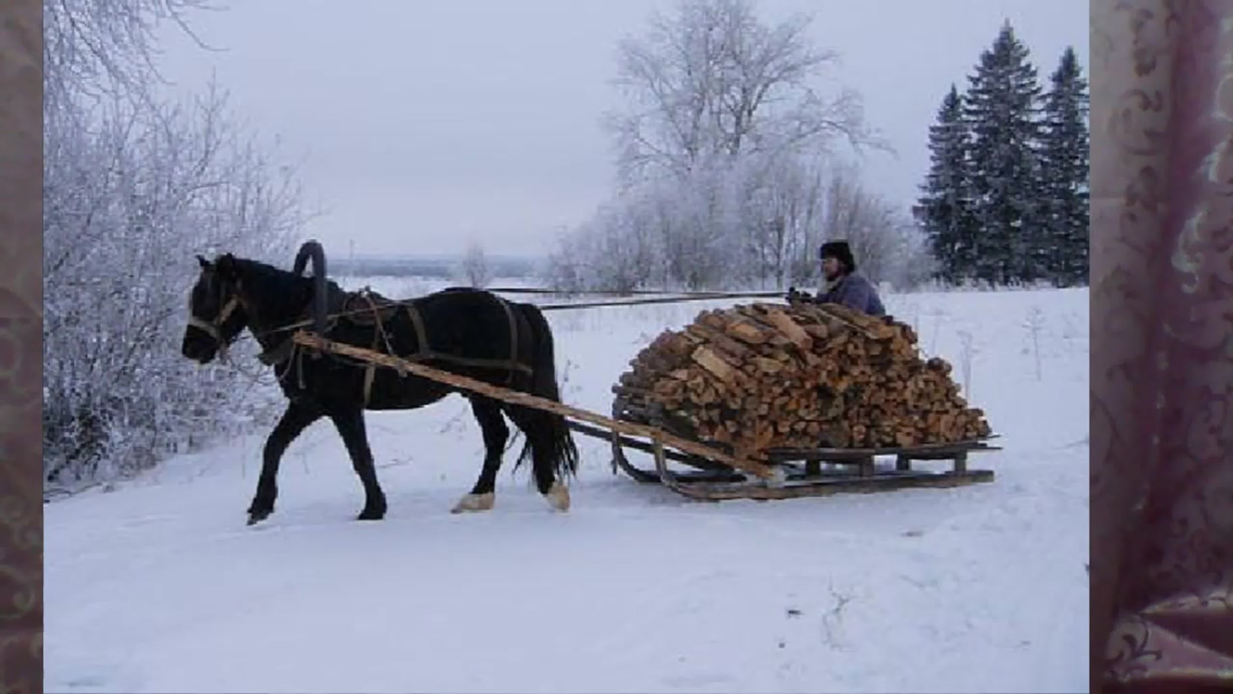 Невдалеке стояла телега запряженная. Телега дров. Сани для дров. Воз дров. Лошади зимой.