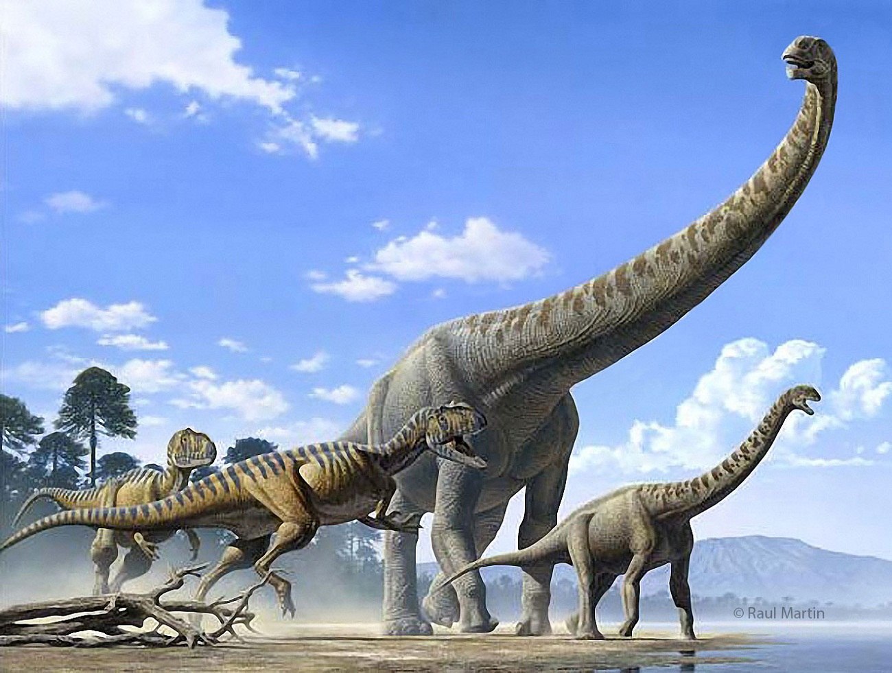 Титанозавр и Аргентинозавр