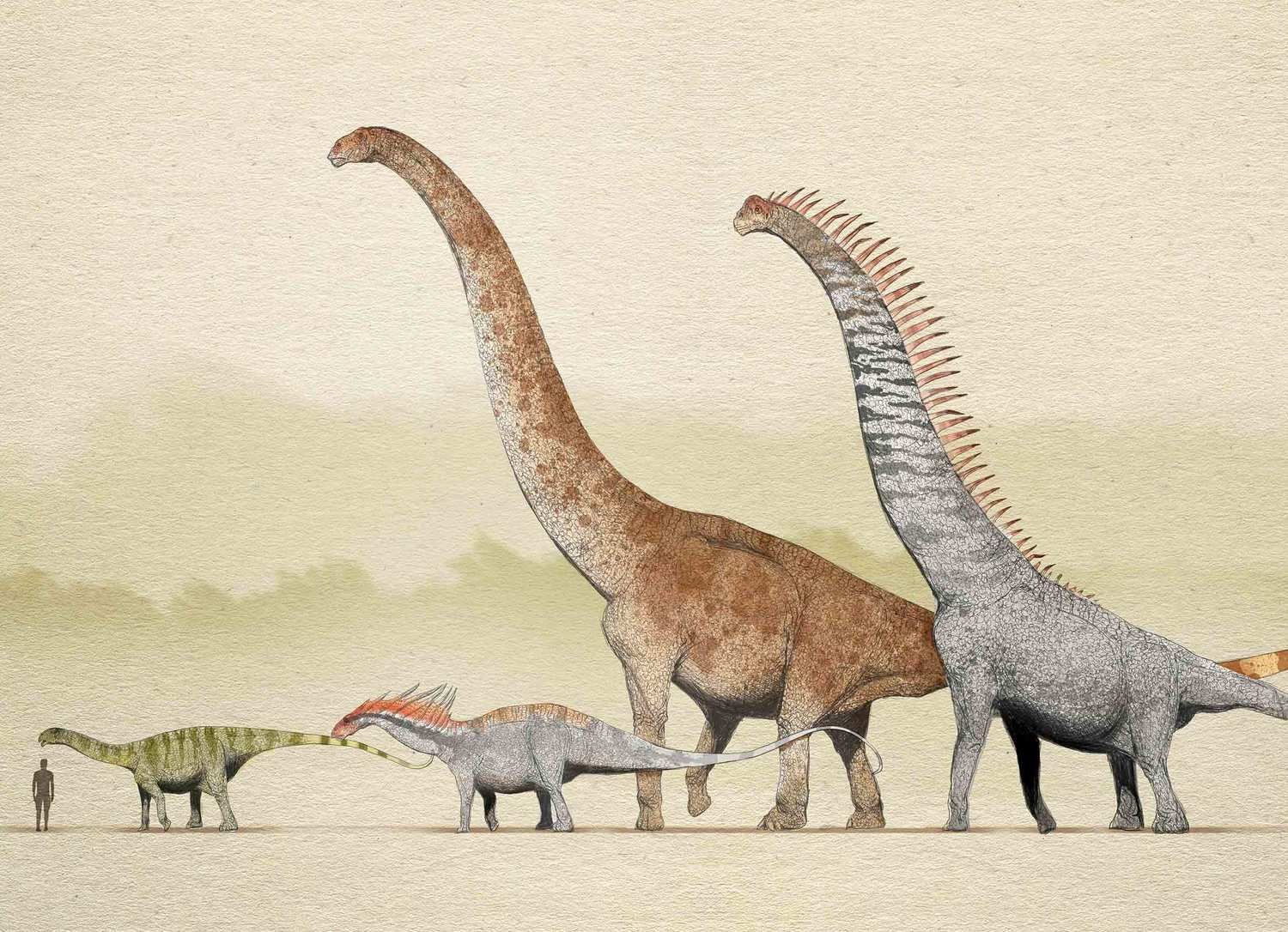 Где большой динозавр. Диплодок Аргентинозавр. Зауропод Маменчизавр. Зауропод и Диплодок. Бронтозавр Брахиозавр.