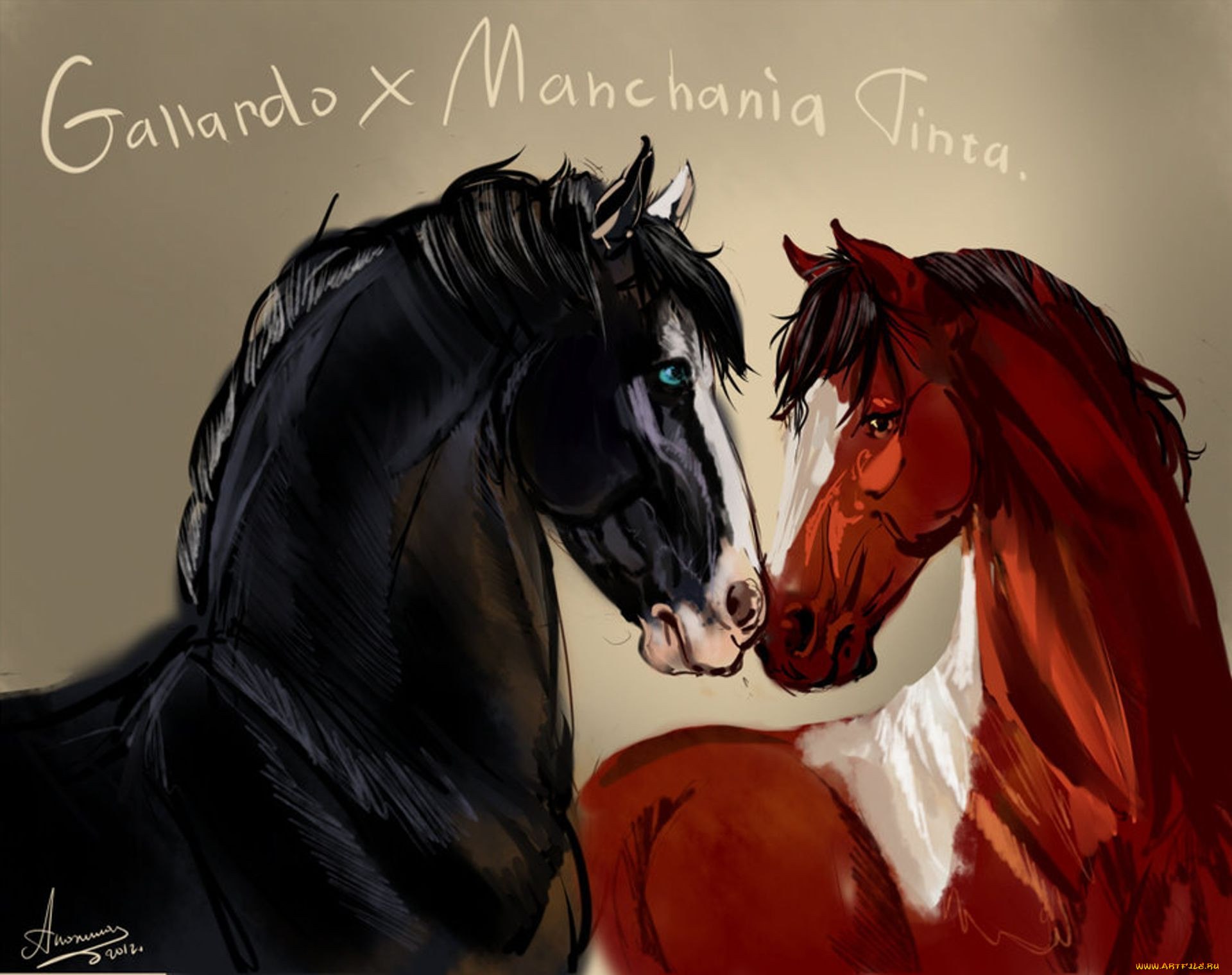 Рыже черная лошадь. Две лошади. Пара лошадей. Лошадь арт. Любовь лошадей.