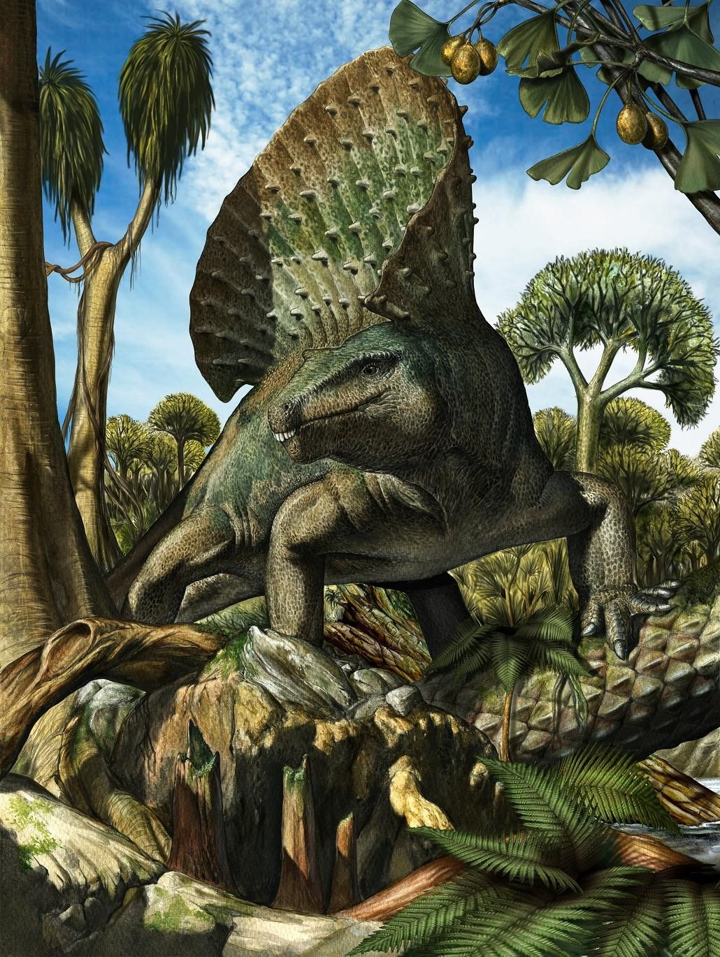 Динозавры это ящеры. Эдафозавр. Диметродон Юрского периода. Эдафозавр скелет. Пермский период Эдафозавр.