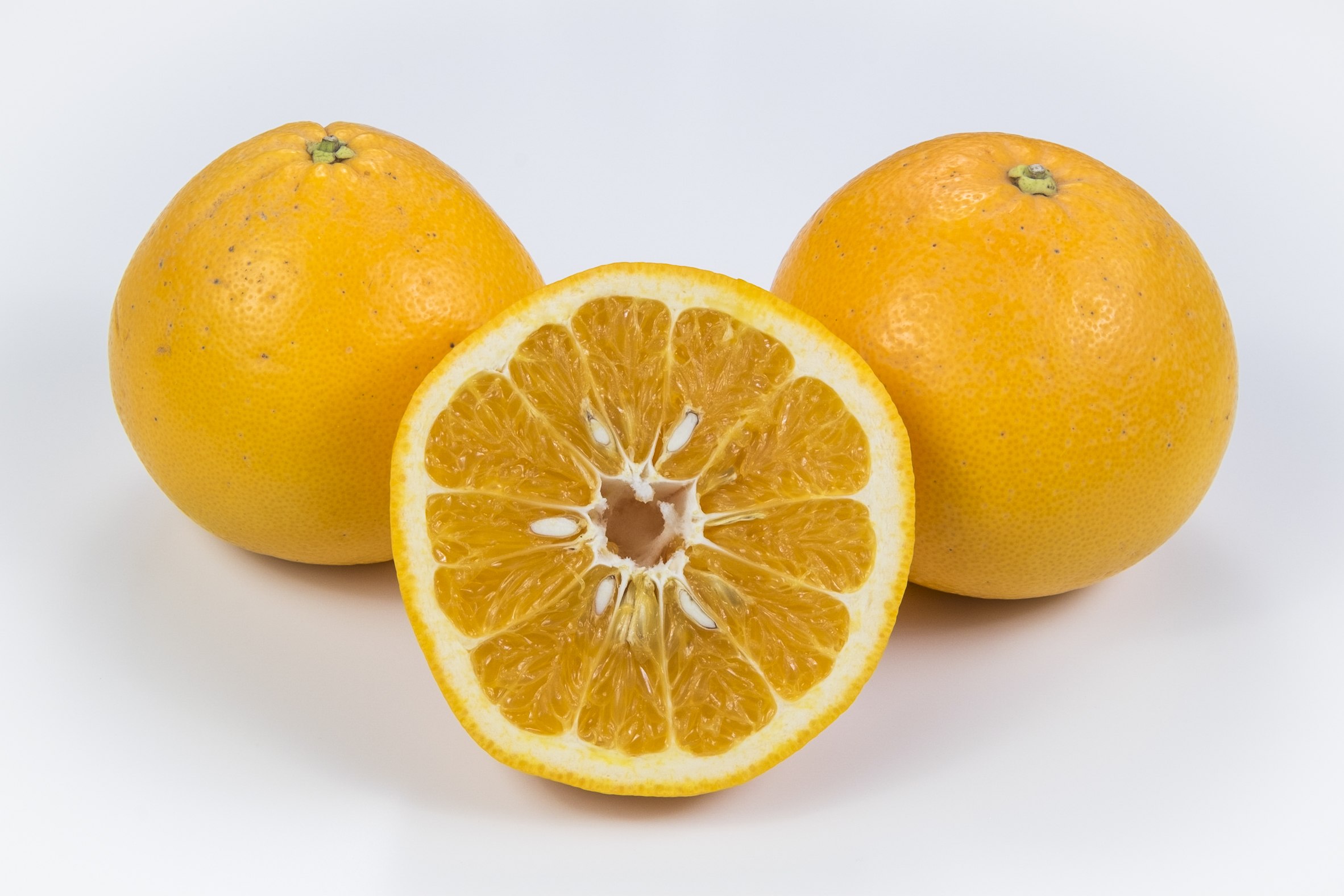 Гибрид лимона как называется. Танжело гибриды цитрусовых. Гибрид мандарина и грейпфрута. Лимон померанец гибрид. Апельсин это гибрид мандарина и помело.