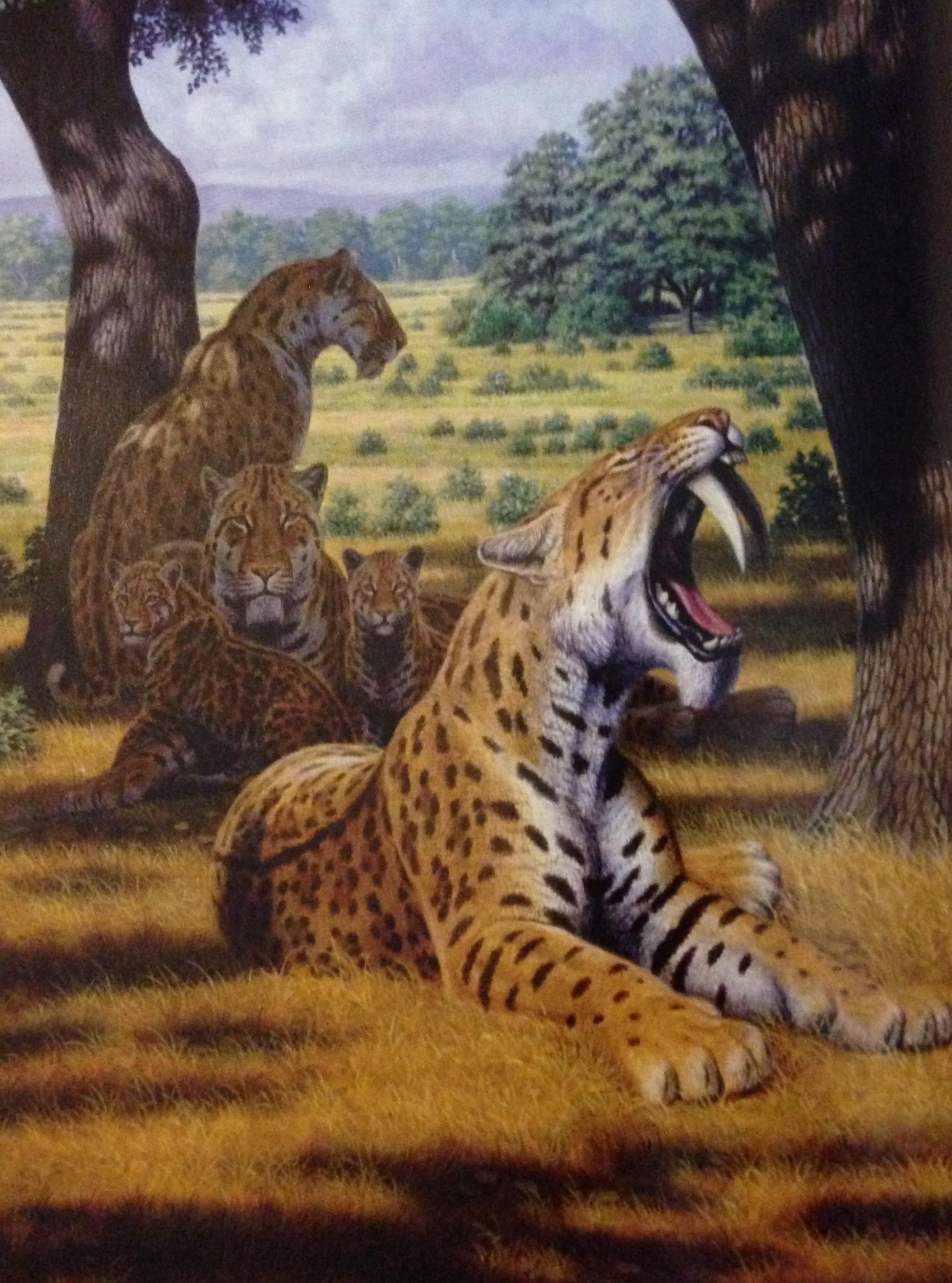 Smilodon. Cмилодон (Саблезубый тигр). Смилодон Прайд. Тигр Смилодон. Саблезубый леопард Смилодон.