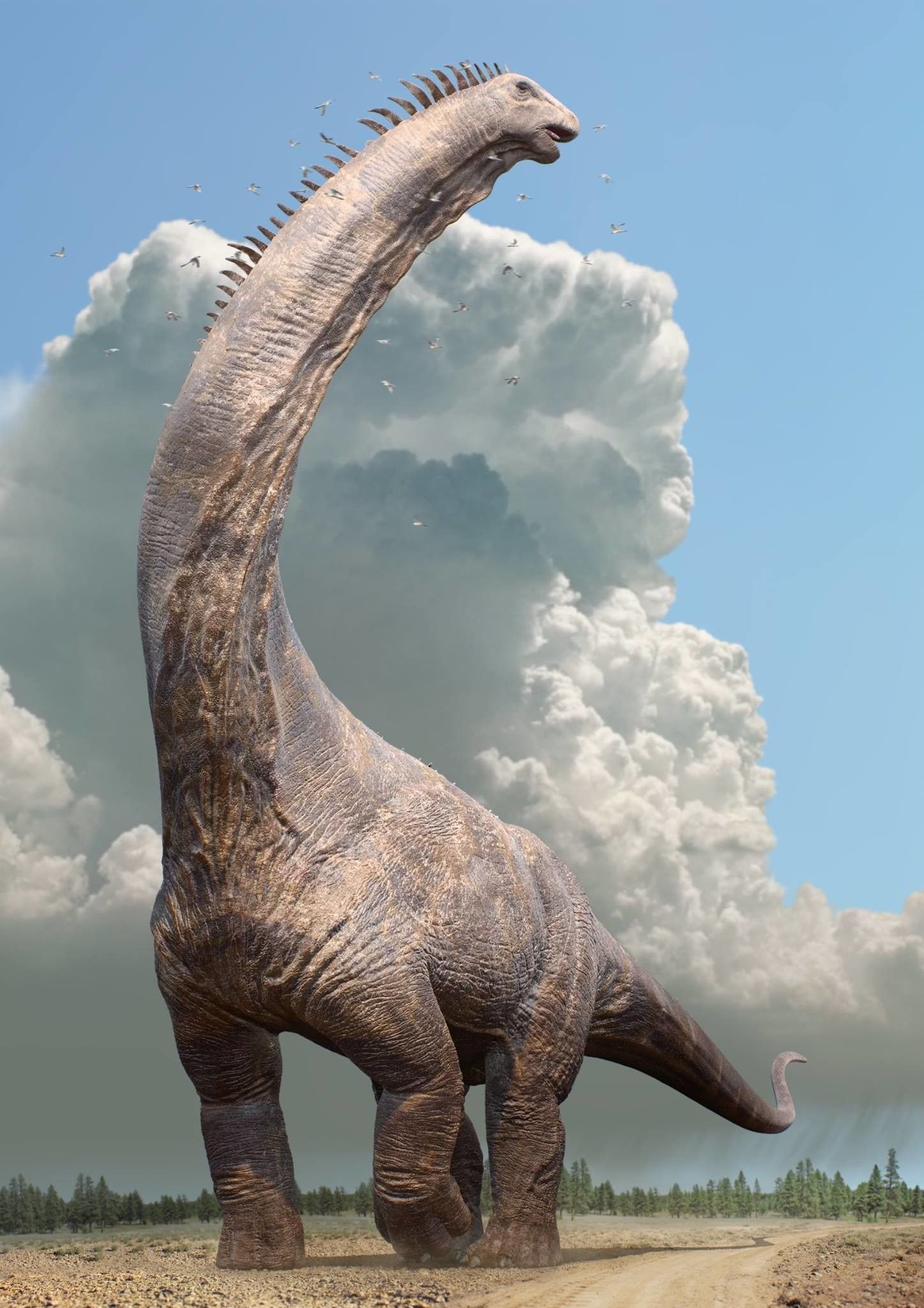 Главные динозавры. Титанозавр зауропод. Аргентинозавр динозавр. Аламозавр. Цедарозавр зауропод.