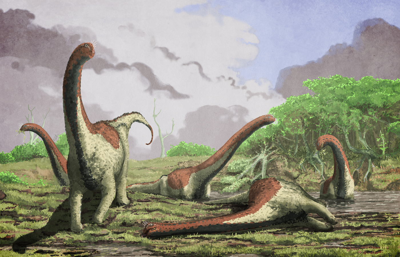Появление динозавров эра. Титанозавр зауропод. Титанозавры титанозавры. Титанозавр зауропод и человек. Вымирание динозавров палеоарт.