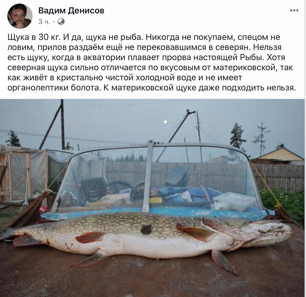 самая большая щука в россии фото
