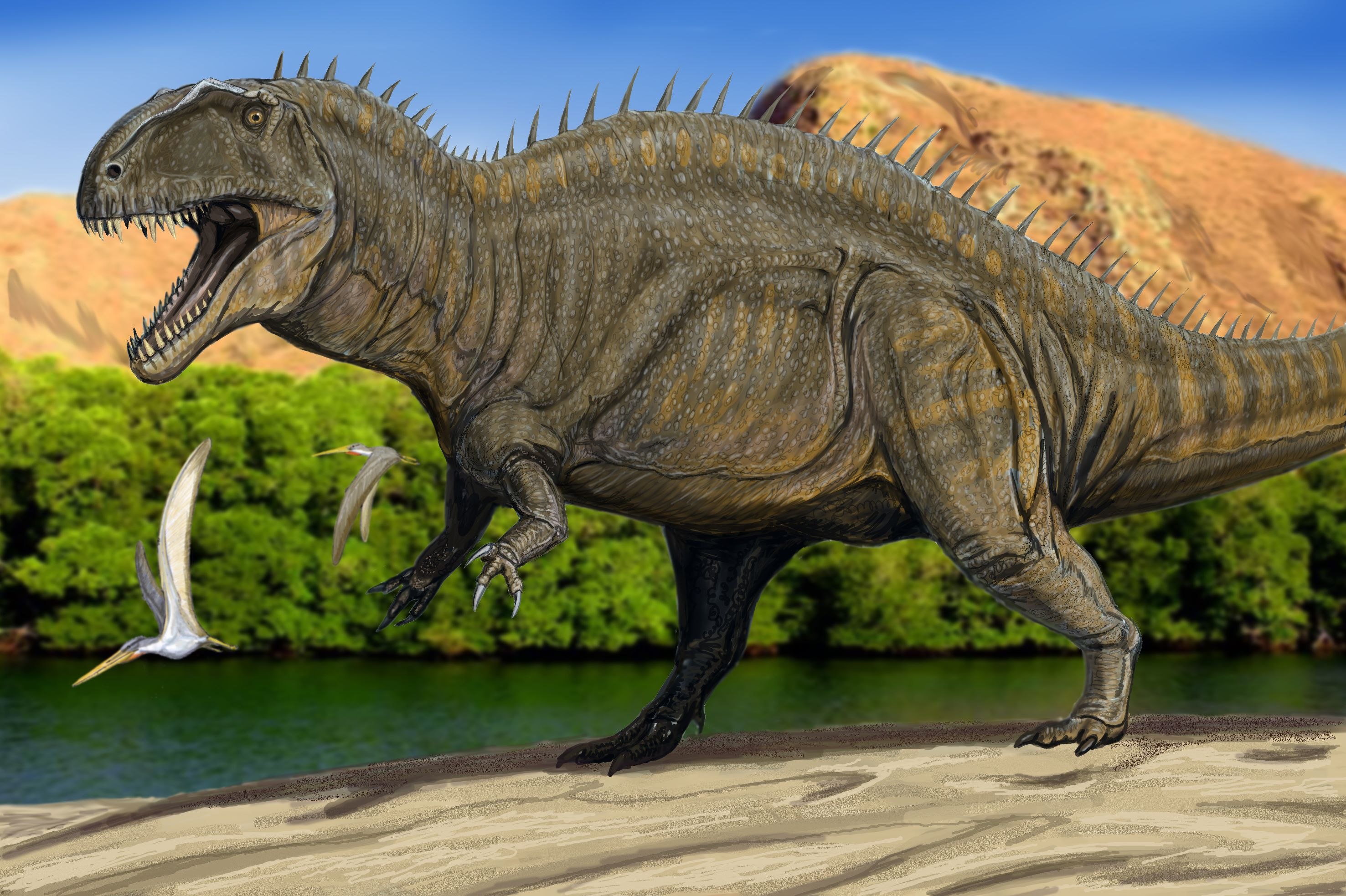 Хищные динозавры Акрокантозавр