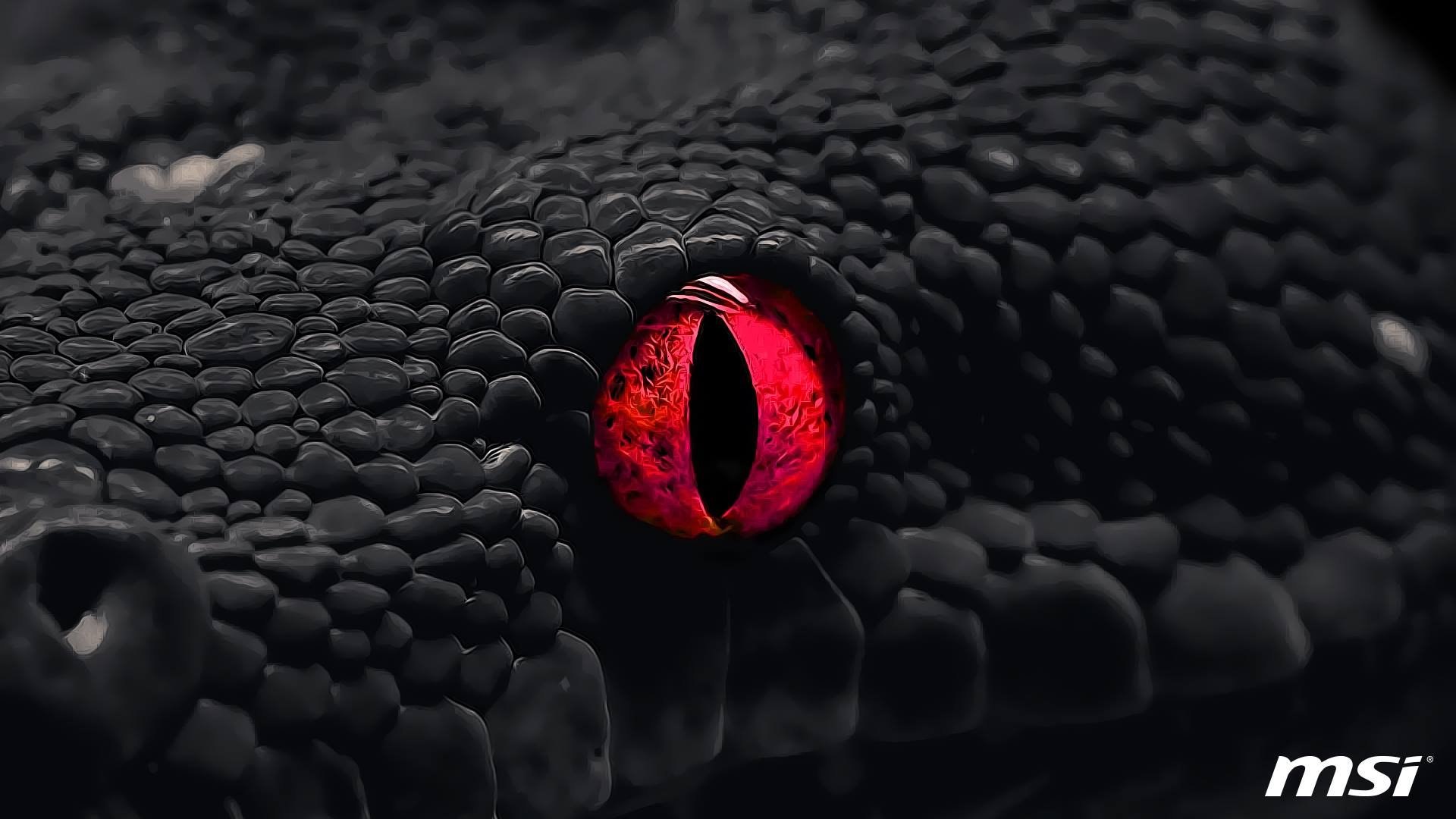 Красно черная змея