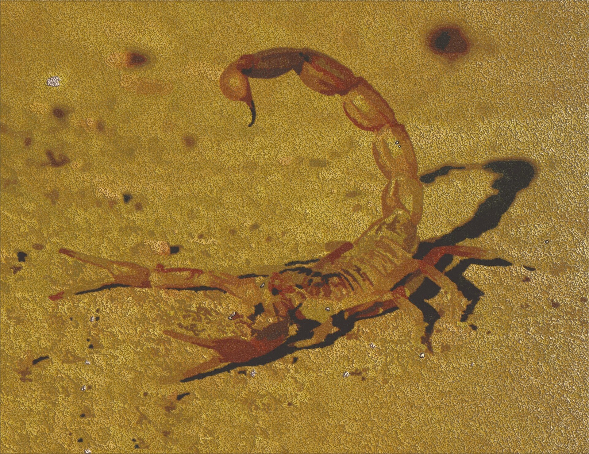 Бывшие скорпионы. Скорпион Buthus occitanus. Mesobuthus eupeus. Скорпион Mesobuthus eupeus. Средиземноморский Скорпион.