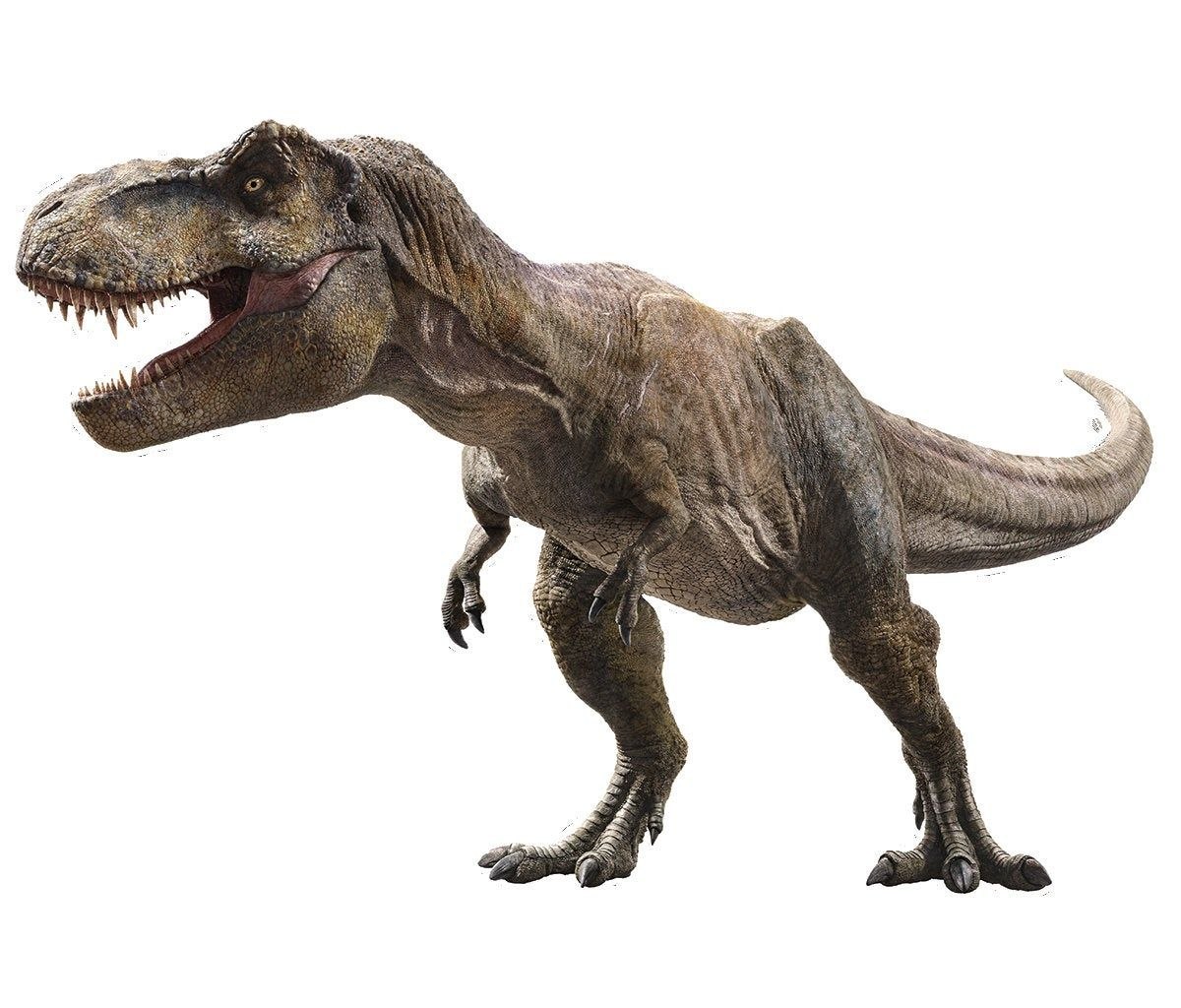 Рев динозавра. Тираннозавр рекс мир Юрского периода. Парк Юрского периода Тиранозавр. Мир Юрского периода Тиранозавр. Тираннозавр мир Юрского периода 2.