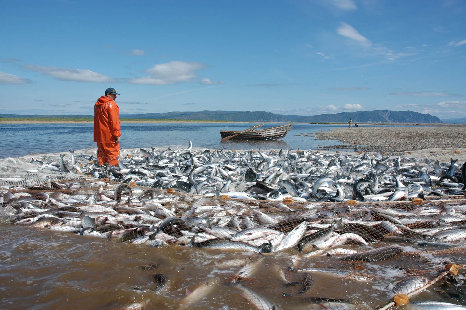 Экологические проблемы южной сибири. Рыбопромышленный комплекс Сахалин. Охотское море рыбный промысел. Рыбопромышленный комплекс дальнего Востока. Охотское море рыбозавод.