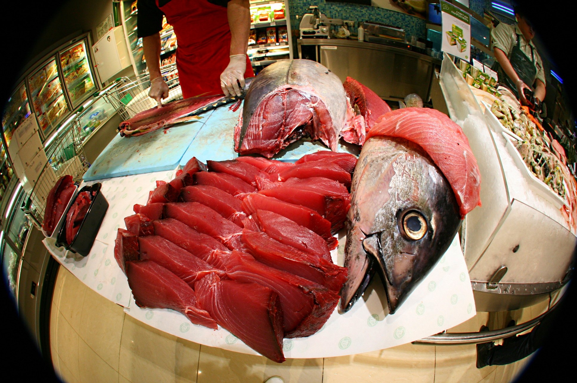 Мясо дорогих рыб. Тунец 600 кг. Тунец Шри Ланка. Тунец мясо.