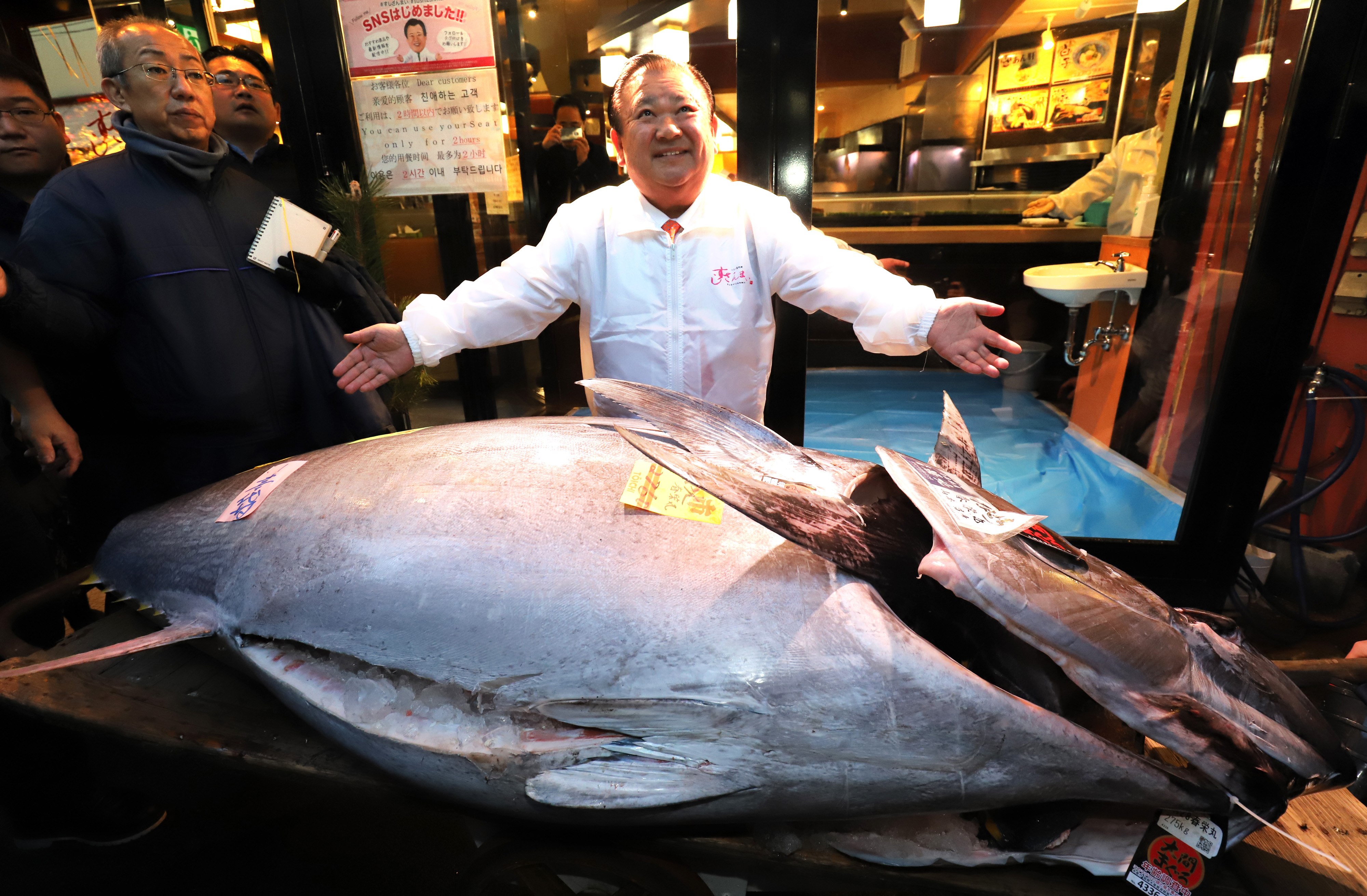 Мясо дорогих рыб. Тунец 600 кг. Гигантский голубой тунец. Тунец 100 кг.