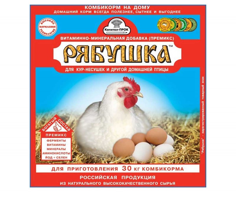 Куры несушки рыжие