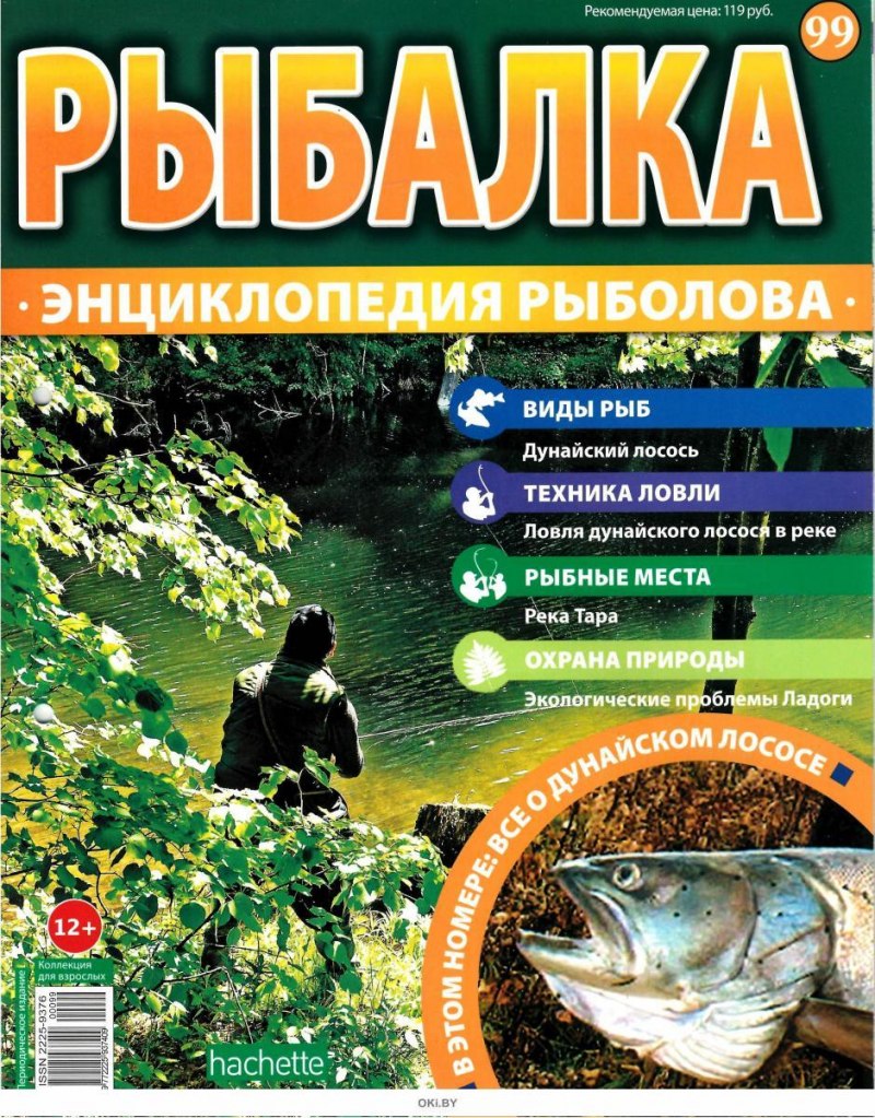 Атлантический лосось семга