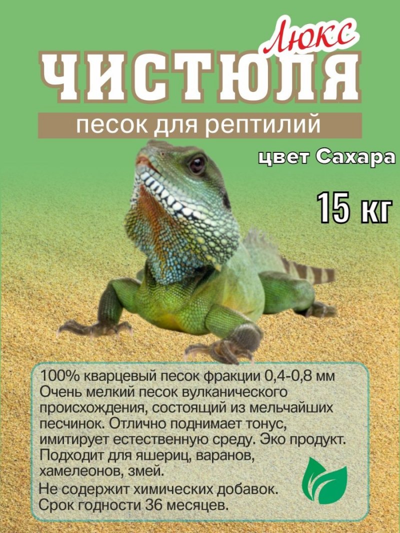 Антикафе жучки-паучки Москва