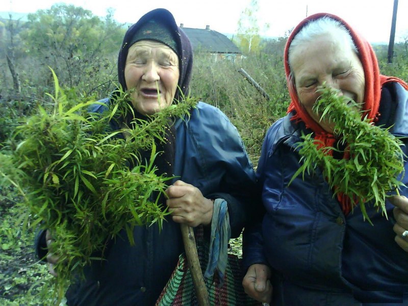 Портрет старой бабушки