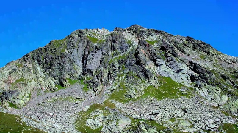 Сольданелла Альпийская