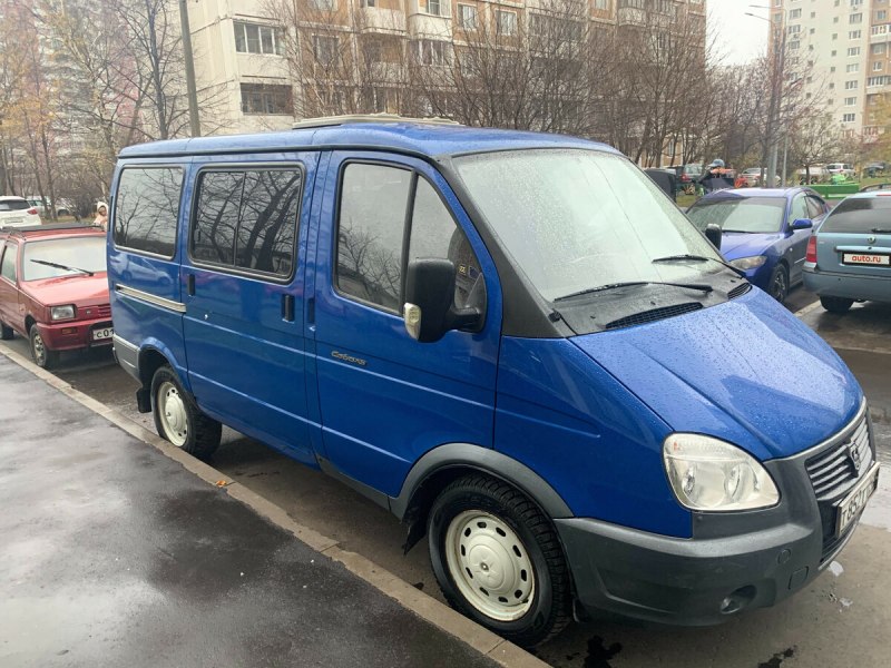 Алтайский заповедник Соболь