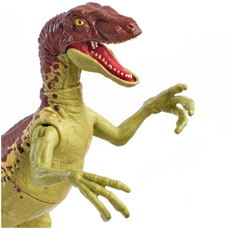 Masiakasaurus KNOPFLERI