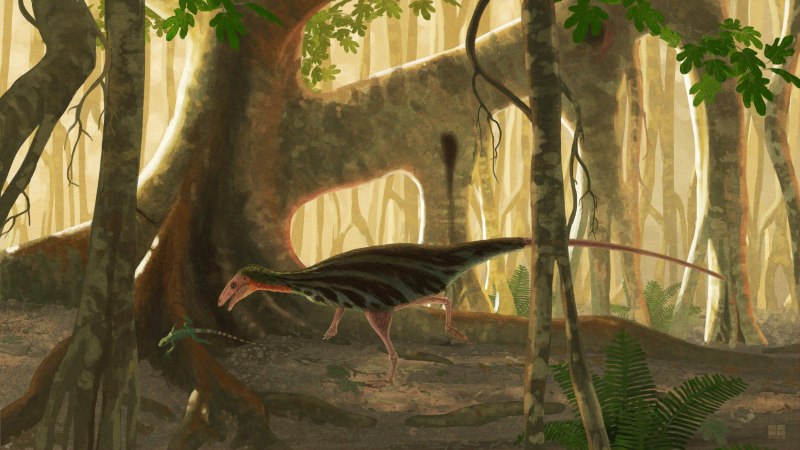 Masiakasaurus KNOPFLERI
