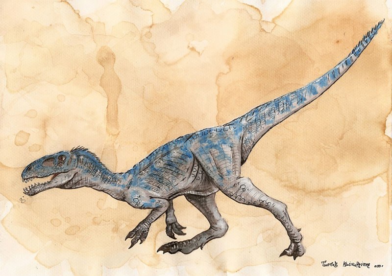 Masiakasaurus Oxalaia