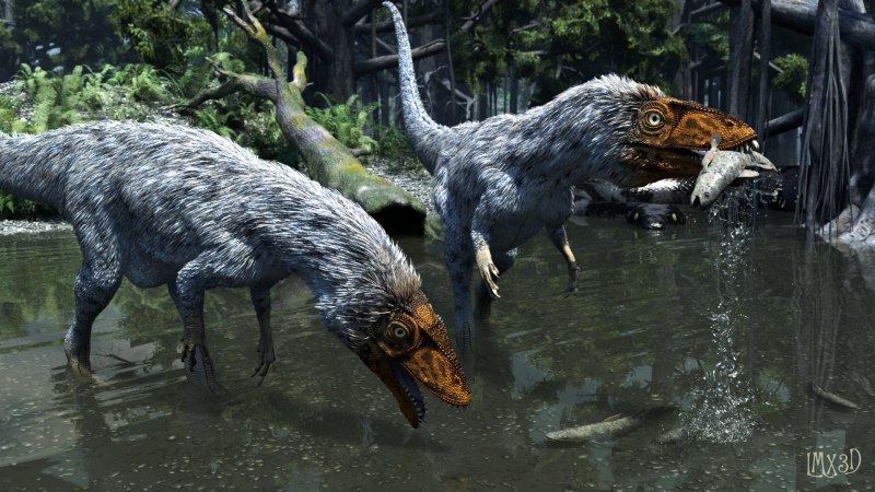 Masiakasaurus KNOPFLERI