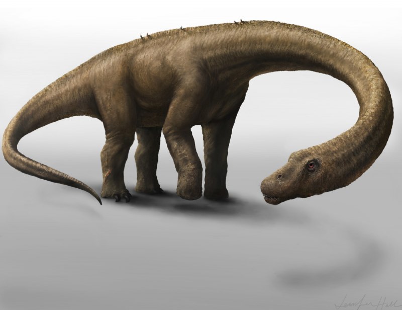 Dreadnoughtus schrani