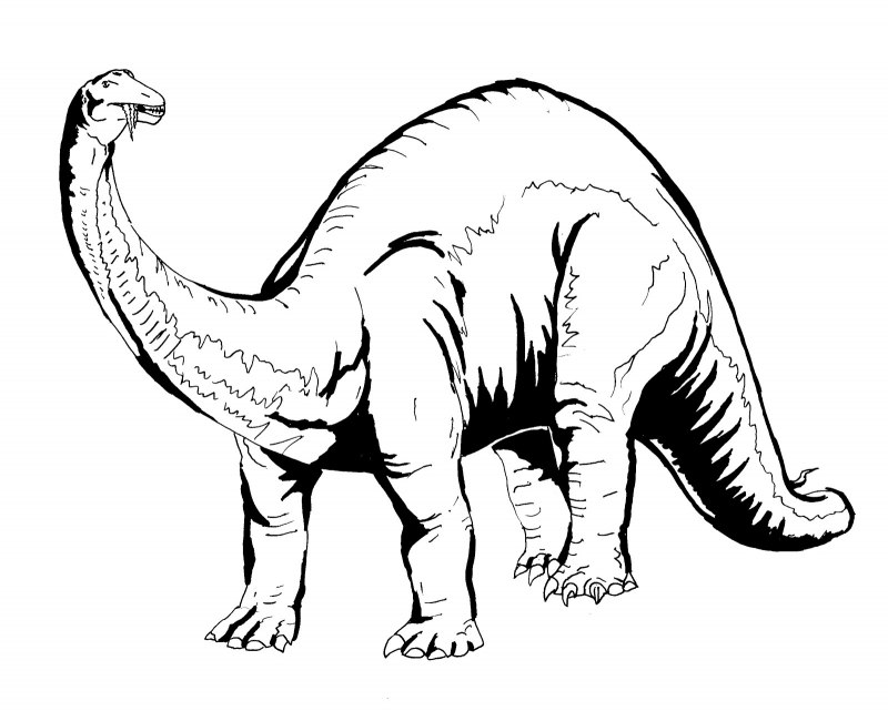 Rebbachisaurus garasbae
