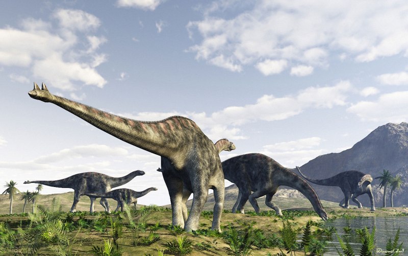 Amphicoelias Fragillimus