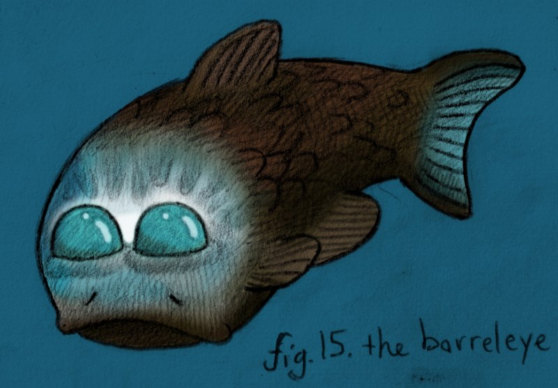 Barreleye Fish рыба