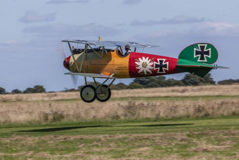 Ases Albatros d.v