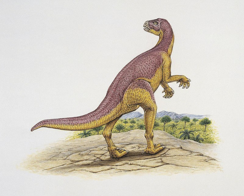Xiaosaurus dashanpensis