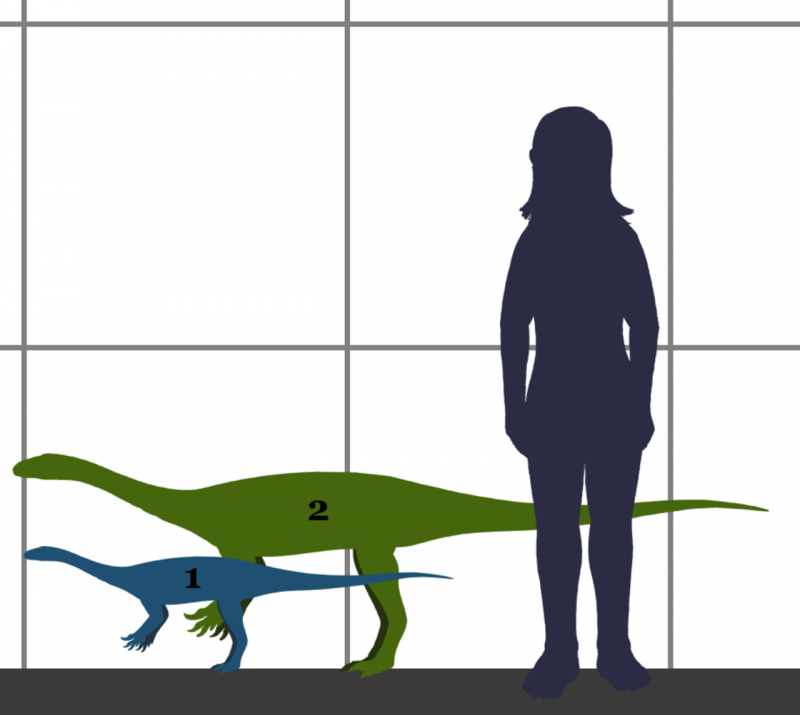 Lythronax argestes