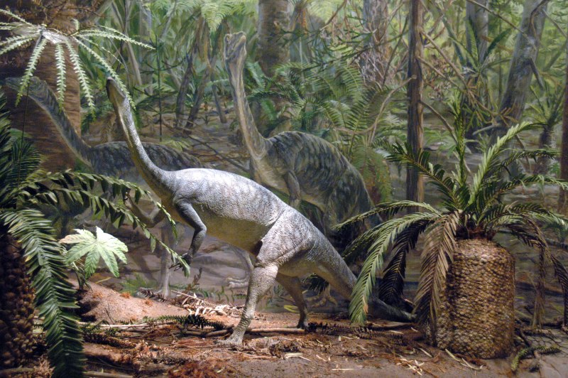 Анхизавр (Anchisaurus)