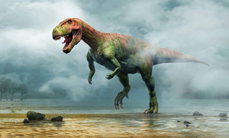 Brachiosaurus altithorax