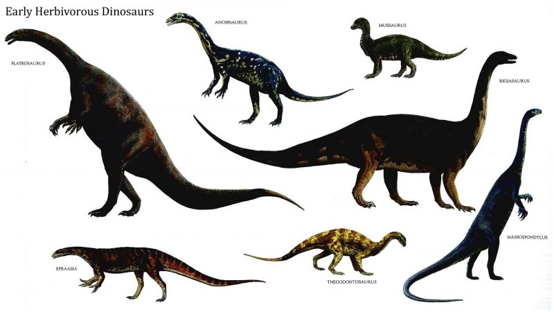 Herbivorous Dinosaur